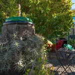 Casa Aloe * El Paso