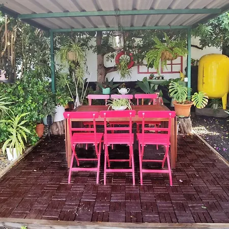 Casa Aloe Semesterbostad *