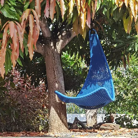 Casa Aloe *