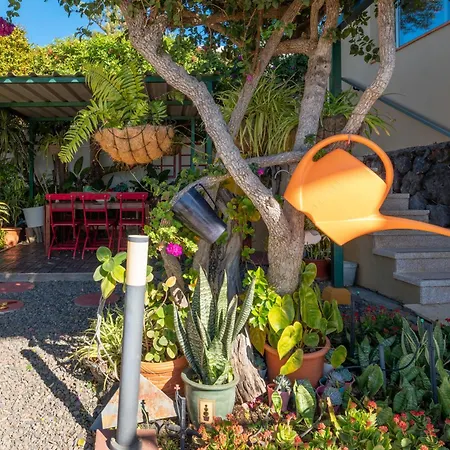 Casa Aloe אל פאסו