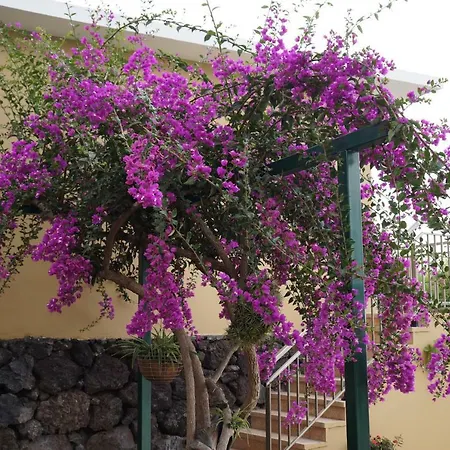 Casa Aloe בית נופש *