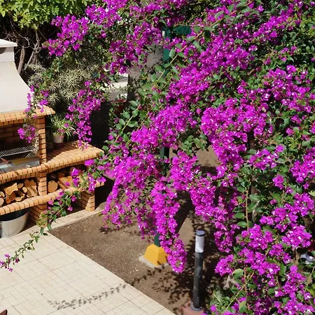 Casa Aloe Holiday home *