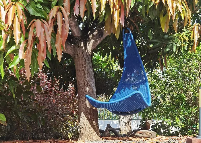 Casa Aloe *