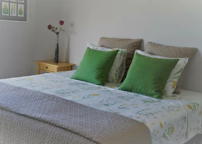 Casa Aloe