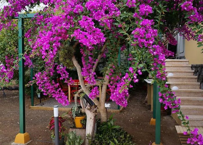 Casa Aloe 度假居